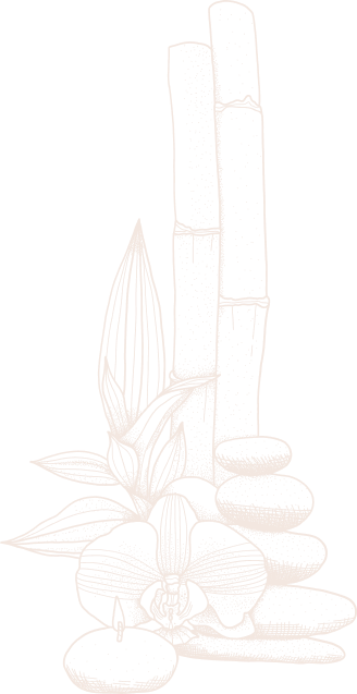 concepts and connections