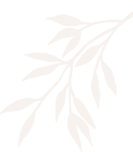 concepts and connections