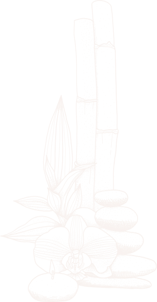 concepts and connections