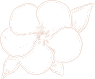 concepts and connections