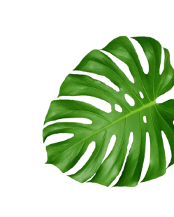 concepts and connections