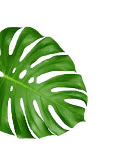 concepts and connections