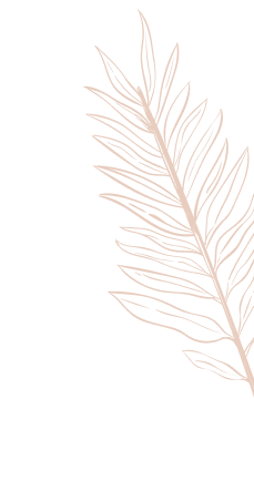 concepts and connections