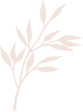 concepts and connections