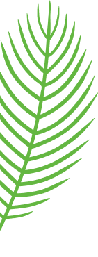 concepts and connections