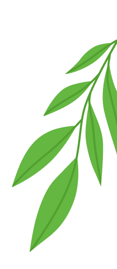 concepts and connections