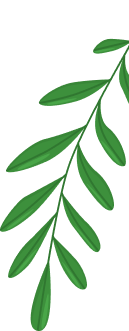 concepts and connections