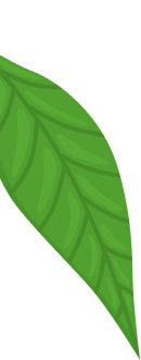 concepts and connections