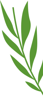 concepts and connections