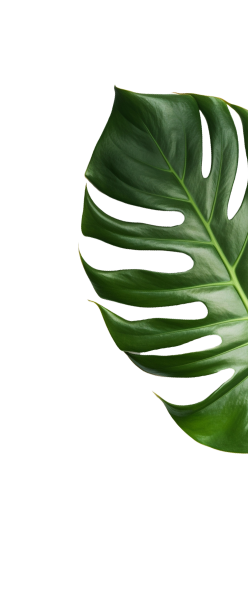 concepts and connections