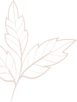 concepts and connections