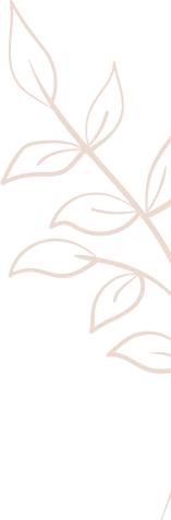 concepts and connections