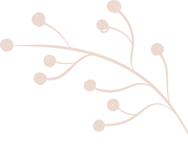 concepts and connections