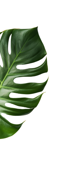 concepts and connections