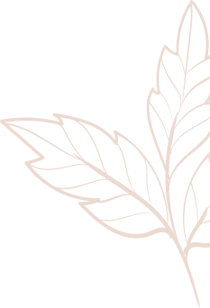 concepts and connections