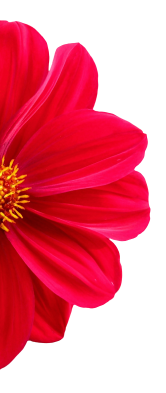 concepts and connections