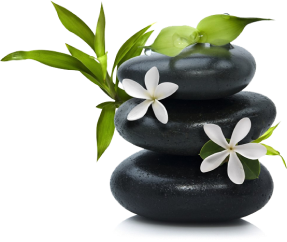 concepts and connections