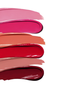 concepts and connections